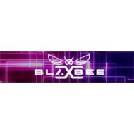 BlaxBee Clothing Co logo